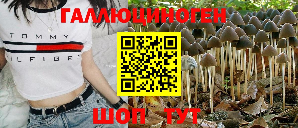 Ногинск  Галлюциногенные грибы мухоморы  Вход с VPN 